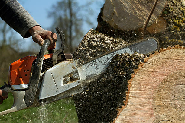 Best Aeration Services  in Lake Stickney, WA